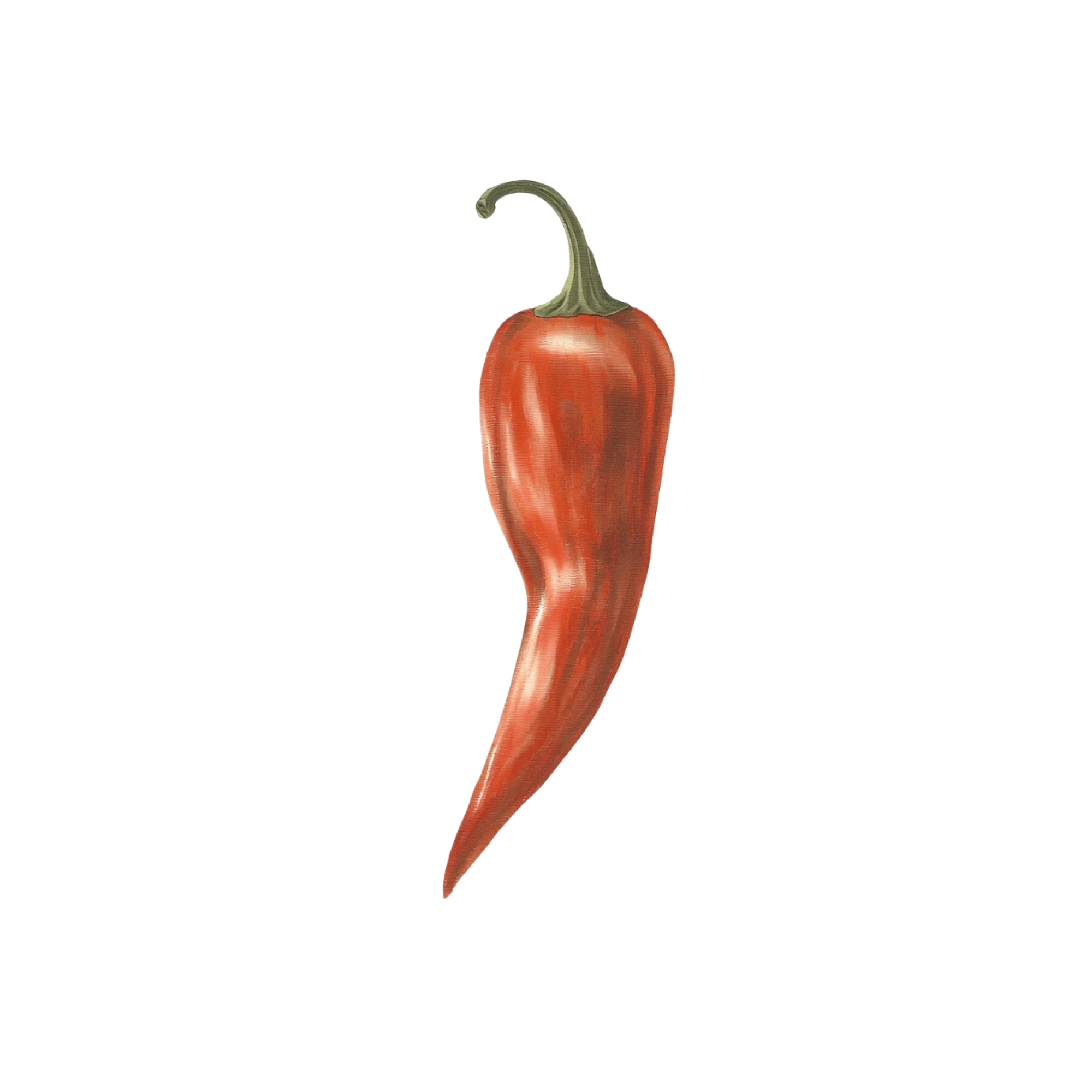 Botanical plate of chili peppers